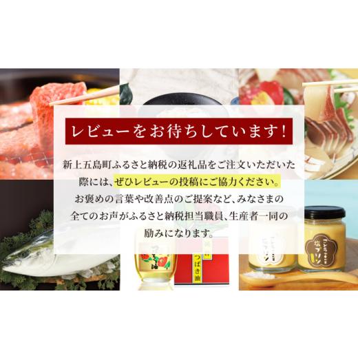ふるさと納税 うどん 生・生涯めん 長崎県 新上五島町  噂のとっぺん塩当てはめる 五島手延うどん 仕かける 5袋（清） 吸いもの付き添い人 ／ 五島うどん 吉村製麺 RAU018