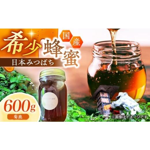 ふるさと納税 加工品等 はちみつ 熊本県 山鹿市 日本みつばち菊鹿約600g 山麓はっち ZBM011 蜂蜜 はちみつ ハチミツ 熊本県 特産品の画像