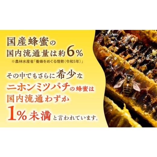 ふるさと納税 加工品等 はちみつ 熊本県 山鹿市 日本みつばち菊鹿約600g 山麓はっち ZBM011 蜂蜜 はちみつ ハチミツ 熊本県 特産品の画像
