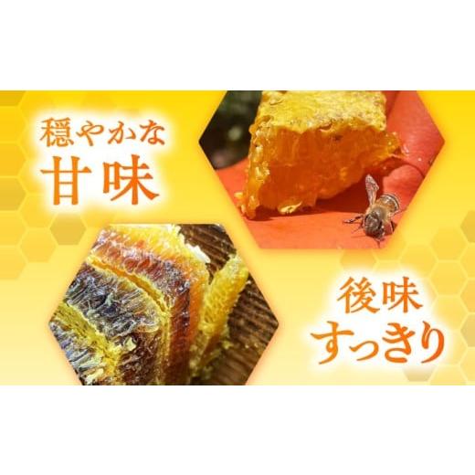 ふるさと納税 加工品等 はちみつ 熊本県 山鹿市 日本みつばち菊鹿約600g 山麓はっち ZBM011 蜂蜜 はちみつ ハチミツ 熊本県 特産品の画像