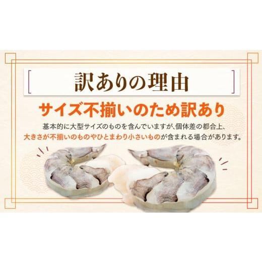 ふるさと納税 エビ・カニ等 エビ 高知県 須崎市 むきエビ 高級 ブラックタイガー 2.4kg 保水剤 無添加 背ワタなし 冷凍 下処理済 訳あり サイズ不揃い エビ 海… |  | 06
