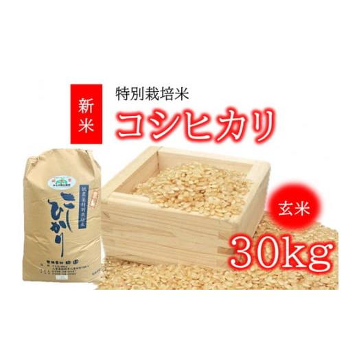 ふるさと納税 三重県 松阪市 コシヒカリ（特別栽培米）玄米 30kg（新米予約9月以降発送）【3-150】｜furusatochoice｜06