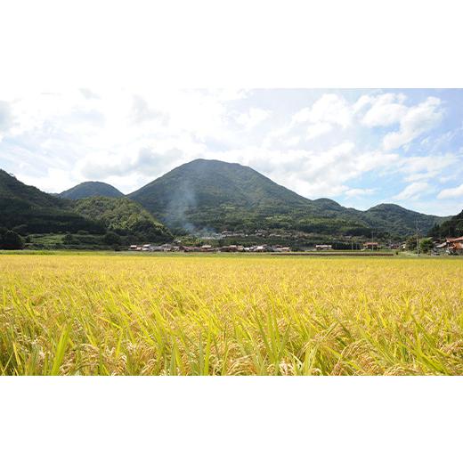 【超激レア】 ふるさと納税 島根県 津和野町 ＜毎月定期便＞津和野産こしひかり一分づき玄米 5kg×全12回【4000007】 【M1828152556】(64400円)