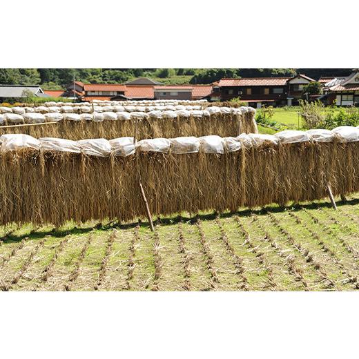 【超激レア】 ふるさと納税 島根県 津和野町 ＜毎月定期便＞津和野産こしひかり一分づき玄米 5kg×全12回【4000007】 【M1828152556】(64400円)