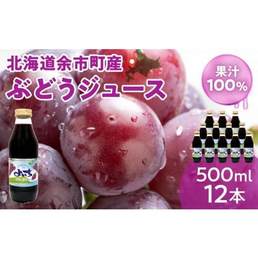 ふるさと納税 果汁飲料 ぶどう 北海道 余市町 風味豊かな余市産ぶどう100％ジュース500ｍｌ×12本セット_1