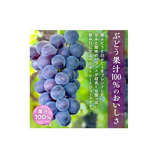 ふるさと納税 果汁飲料 ぶどう 北海道 余市町 風味豊かな余市産ぶどう100％ジュース500ｍｌ×12本セット_3