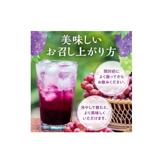 ふるさと納税 果汁飲料 ぶどう 北海道 余市町 風味豊かな余市産ぶどう100％ジュース500ｍｌ×12本セット_4