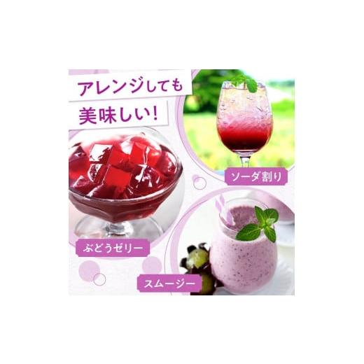 ふるさと納税 果汁飲料 ぶどう 北海道 余市町 風味豊かな余市産ぶどう100％ジュース500ｍｌ×12本セット_5