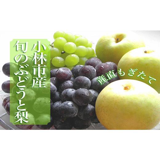 ふるさと納税 ぶどう マスカット 宮崎県 小林市 産直もぎたて シャインマスカット等の旬ぶどうと梨セット