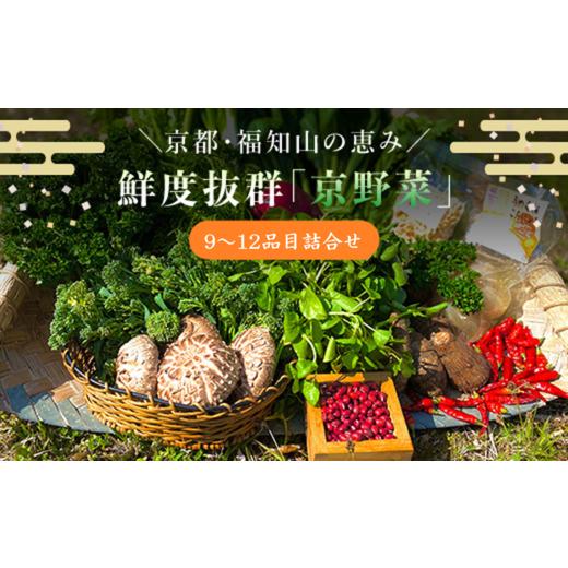 ふるさと納税 セット・詰合せ 京都府 福知山市 京野菜9〜12品目詰合せ ふるさと納税 新鮮 鮮度抜群 京野菜 野菜 京都府 福知山市 京都 福知山 ふるさと 奥京都