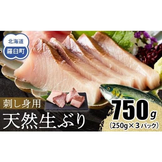 ふるさと納税 旬の鮮魚等 北海道 羅臼町 2025年12月発送 北海道 知床羅臼産 天然ぶり刺身 750g(250g ×3パック) 魚 海産物 魚介 魚介類 ブリ 鰤 刺身 ご飯…
