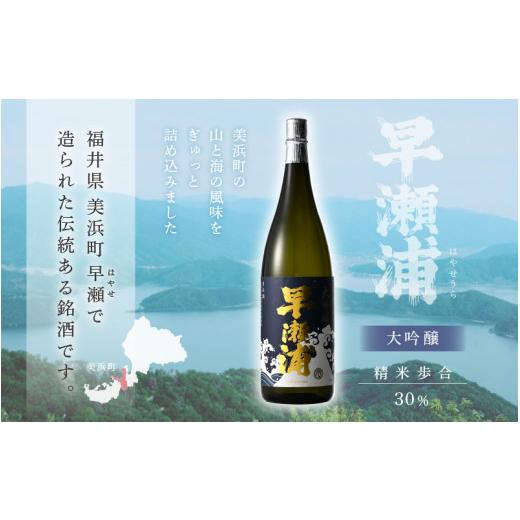 ふるさと納税 日本酒 大吟醸酒 福井県 美浜町  お中元 早瀬浦 大吟醸 1800ml × 1本 入手困難 日本酒 地酒 福井 美浜 早瀬 フルーティ 男酒 硬水 ミネラル 希…_2