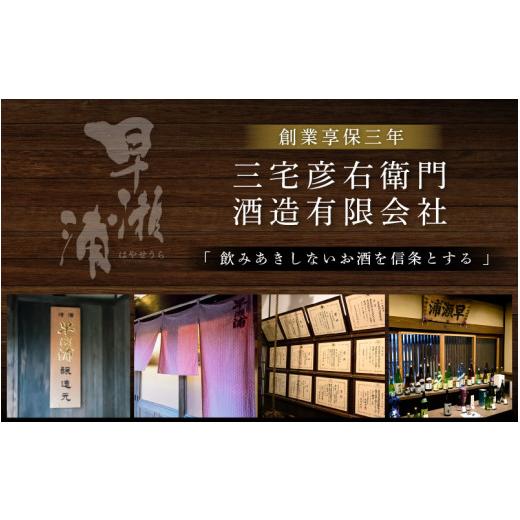 ふるさと納税 日本酒 大吟醸酒 福井県 美浜町  お中元 早瀬浦 大吟醸 1800ml × 1本 入手困難 日本酒 地酒 福井 美浜 早瀬 フルーティ 男酒 硬水 ミネラル 希…_7