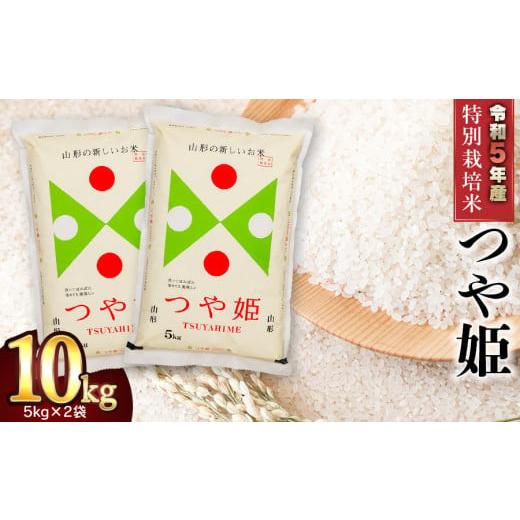 ふるさと納税 米 つや姫 山形県 鶴岡市 令和7年産 特別栽培米 つや姫