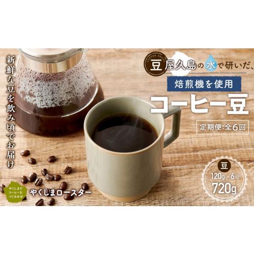 ふるさと納税 コーヒー コーヒー豆 鹿児島県 屋久島町 定期便 全6回 豆 屋久島の水で研いだ（焙煎機を使用した）コーヒー（1回分120g）