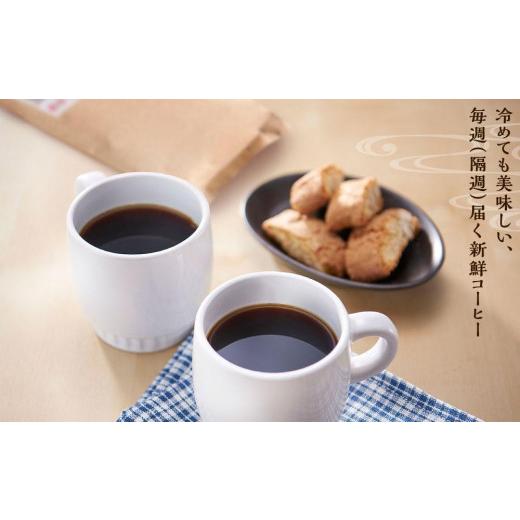 ふるさと納税 コーヒー コーヒー豆 鹿児島県 屋久島町 定期便 全6回 豆 屋久島の水で研いだ（焙煎機を使用した）コーヒー（1回分120g）