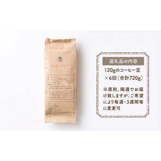 ふるさと納税 コーヒー コーヒー豆 鹿児島県 屋久島町 定期便 全6回 豆 屋久島の水で研いだ（焙煎機を使用した）コーヒー（1回分120g）