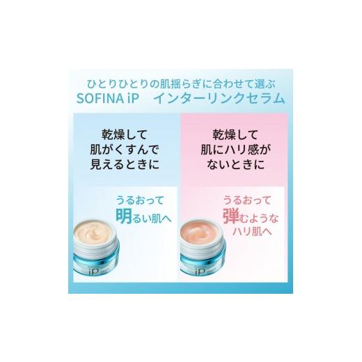 ふるさと納税 美容 神奈川県 小田原市 花王 SOFINA iP インターリンク セラム うるおって弾むようなハリ肌へ　2個セット ソフィーナ　アイピー 美容 化粧品 コ…_3