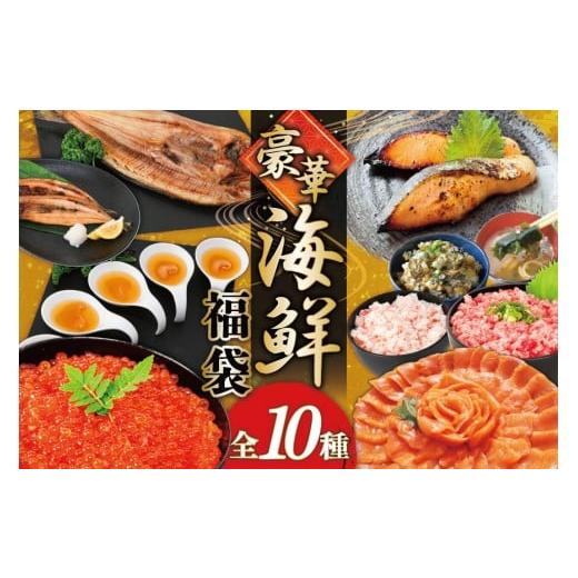 ふるさと納税 いくら 宮城県 気仙沼市 豪華 海鮮福袋 全10種 カネダイ 宮城県 気仙沼市 20565836 海鮮 魚介類 福袋 いくら ホタテ カニ かに ズワイガニ フカ…