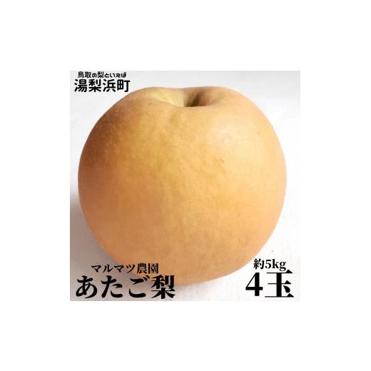 ふるさと納税 梨 鳥取県 湯梨浜町 215M. マルマツ農園 あたご梨4玉