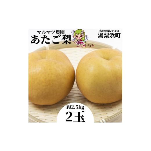ふるさと納税 梨 鳥取県 湯梨浜町 216M. マルマツ農園 あたご梨2玉