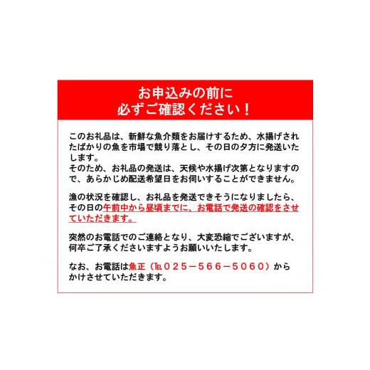 ふるさと納税 新潟県 糸魚川市 日本海直送 旬の鮮魚詰め合せ【魚種6種程度】ボックス 魚のプロが選んだ厳選魚  新潟 糸魚川 能生漁港から朝獲れ新鮮な魚をお届…｜furusatochoice｜05