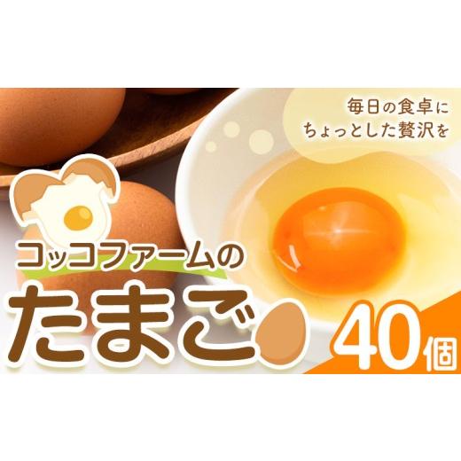 ふるさと納税 卵(鶏、烏骨鶏等) 熊本県 菊池市 コッコファームのたまご 40個 コッコファーム[90日以内に出荷予定(土日祝除く)]熊本県 菊池市 卵 鶏卵 玉子…