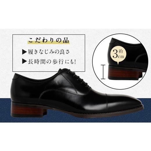 ふるさと納税 ファッション 靴 宮崎県 高鍋町 25cm 靴磨きサービス付 <MURATA ORIGINAL 本革紳士靴 ストレートチップ9210490 ブラック>翌月末迄に順次…_3