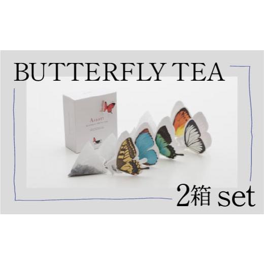 ふるさと納税 石川県 小松市 BUTTERFLY TEA / 2箱セット