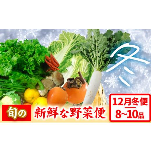 ふるさと納税 セット・詰合せ 徳島県 美馬市  先行予約 旬の新鮮な野菜便 12月冬便 8〜10品 アグリサポート美馬《12月上旬-12月末頃出荷》徳島県 美馬市 冬野…_1