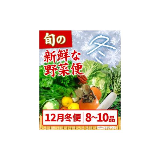 ふるさと納税 セット・詰合せ 徳島県 美馬市  先行予約 旬の新鮮な野菜便 12月冬便 8〜10品 アグリサポート美馬《12月上旬-12月末頃出荷》徳島県 美馬市 冬野…_2