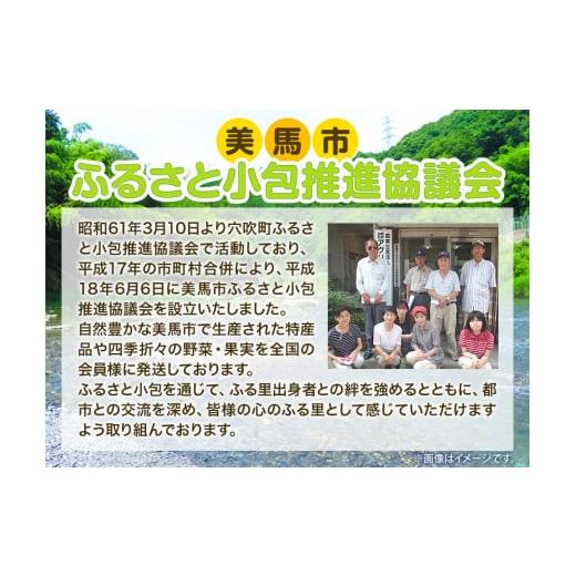 ふるさと納税 セット・詰合せ 徳島県 美馬市  先行予約 旬の新鮮な野菜便 12月冬便 8〜10品 アグリサポート美馬《12月上旬-12月末頃出荷》徳島県 美馬市 冬野…_3