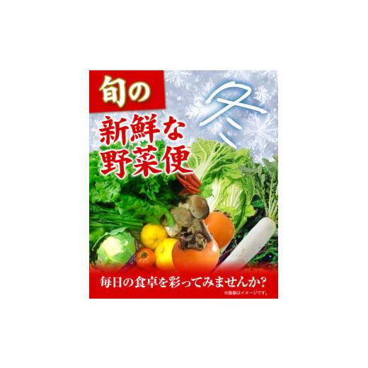 ふるさと納税 セット・詰合せ 徳島県 美馬市  先行予約 旬の新鮮な野菜便 12月冬便 8〜10品 アグリサポート美馬《12月上旬-12月末頃出荷》徳島県 美馬市 冬野…_6