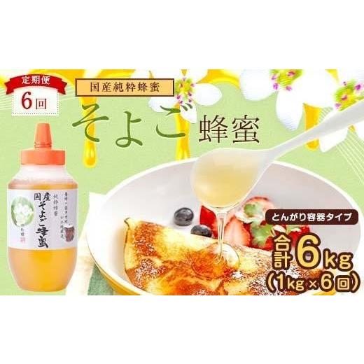 ふるさと納税 加工品等 はちみつ 福岡県 八女市  全6回 定期便 かの蜂 国産 そよご蜂蜜 合計6kg（とんがり容器1kgを毎月1本お届け） 蜂蜜 はちみつ ハチミツ …の画像