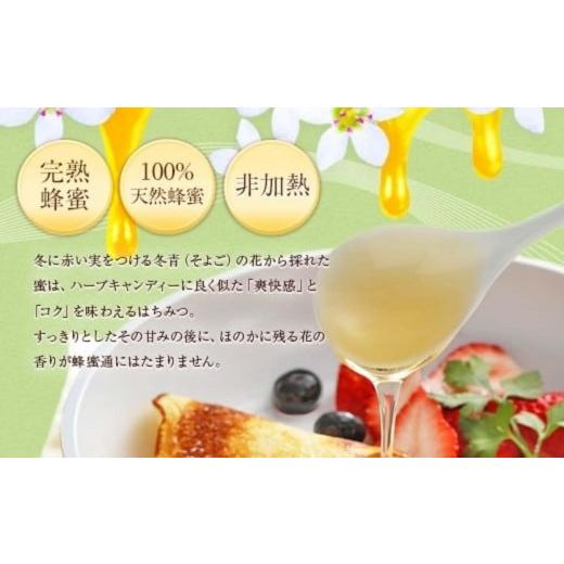ふるさと納税 加工品等 はちみつ 福岡県 八女市  全6回 定期便 かの蜂 国産 そよご蜂蜜 合計6kg（とんがり容器1kgを毎月1本お届け） 蜂蜜 はちみつ ハチミツ …の画像