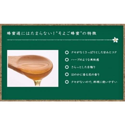 ふるさと納税 加工品等 はちみつ 福岡県 八女市  全6回 定期便 かの蜂 国産 そよご蜂蜜 合計6kg（とんがり容器1kgを毎月1本お届け） 蜂蜜 はちみつ ハチミツ …の画像
