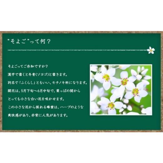 ふるさと納税 加工品等 はちみつ 福岡県 八女市  全6回 定期便 かの蜂 国産 そよご蜂蜜 合計6kg（とんがり容器1kgを毎月1本お届け） 蜂蜜 はちみつ ハチミツ …の画像