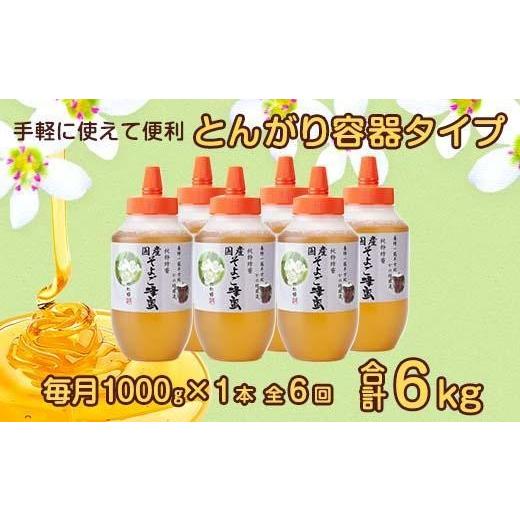 ふるさと納税 加工品等 はちみつ 福岡県 八女市  全6回 定期便 かの蜂 国産 そよご蜂蜜 合計6kg（とんがり容器1kgを毎月1本お届け） 蜂蜜 はちみつ ハチミツ …の画像