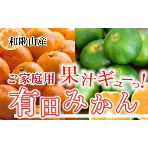 ふるさと納税 果物類 みかん 和歌山県 九度山町 ［先行予約］家庭用 有田みかん1kg+250g（傷み補償分）［2026年10月初旬から2027年1月末日頃順次発送予定］ | 