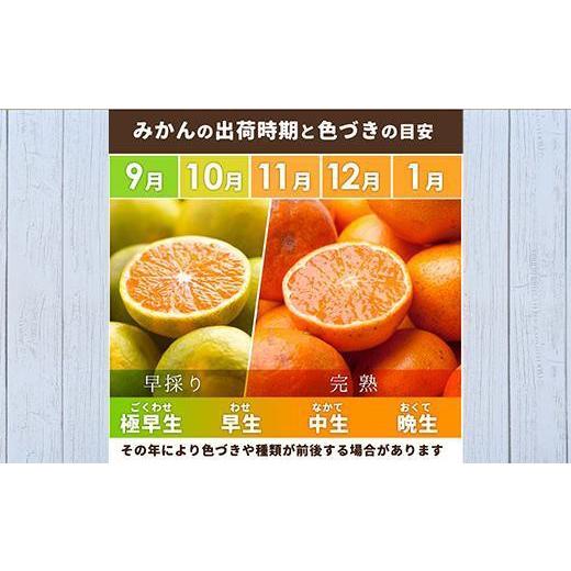 ふるさと納税 果物類 みかん 和歌山県 九度山町 ［先行予約］家庭用 有田みかん1kg+250g（傷み補償分）［2026年10月初旬から2027年1月末日頃順次発送予定］ |  | 02