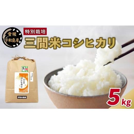 ふるさと納税 米 コシヒカリ 愛媛県 宇和島市 特別栽培米 三間米 コシヒカリ 5kg 伊勢本農園 特別栽培 米 お米 おこめ ごはん こめ コメ kome 白米 精米 お弁…