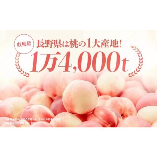 ふるさと納税 もも 長野県 飯田市  2026年先行予約 南信州産 訳あり 桃 約3kg | 桃 もも あかつき なつっこ 果物 フルーツ 果実 完熟桃 訳あり わけあり 長野…の画像