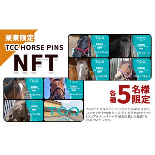 ふるさと納税 滋賀県 栗東市 栗東限定 TCC HORSE PINS サトノパシュート 