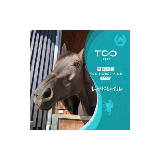 ふるさと納税 滋賀県 栗東市 栗東限定 TCC HORSE PINS サトノパシュート 