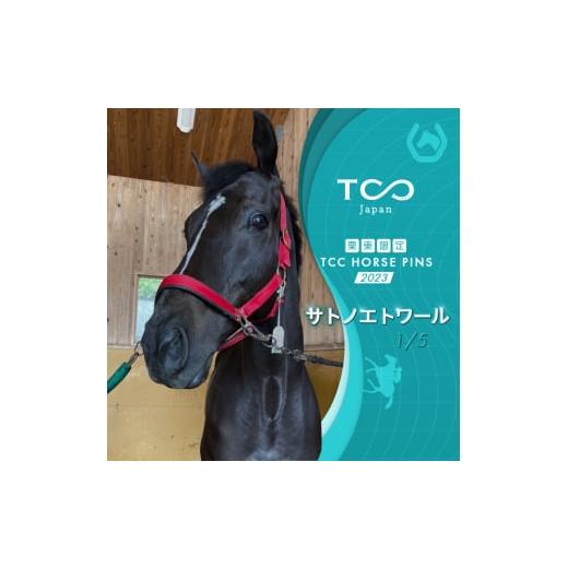 ふるさと納税 滋賀県 栗東市 栗東限定 TCC HORSE PINS サトノパシュート 
