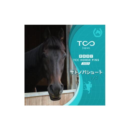 ふるさと納税 滋賀県 栗東市 栗東限定 TCC HORSE PINS サトノパシュート 