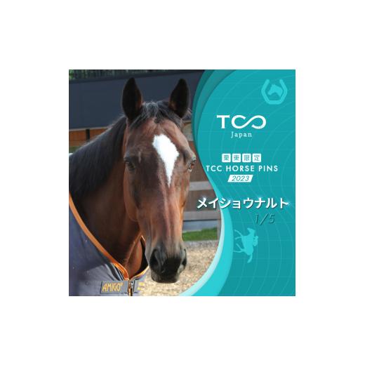 ふるさと納税 滋賀県 栗東市 栗東限定 TCC HORSE PINS サトノパシュート 