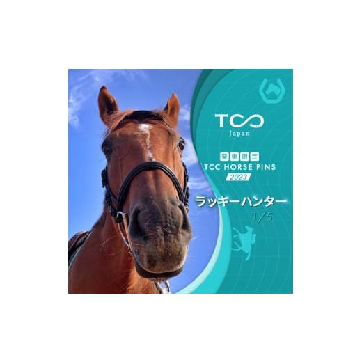 ふるさと納税 滋賀県 栗東市 栗東限定 TCC HORSE PINS サトノパシュート 