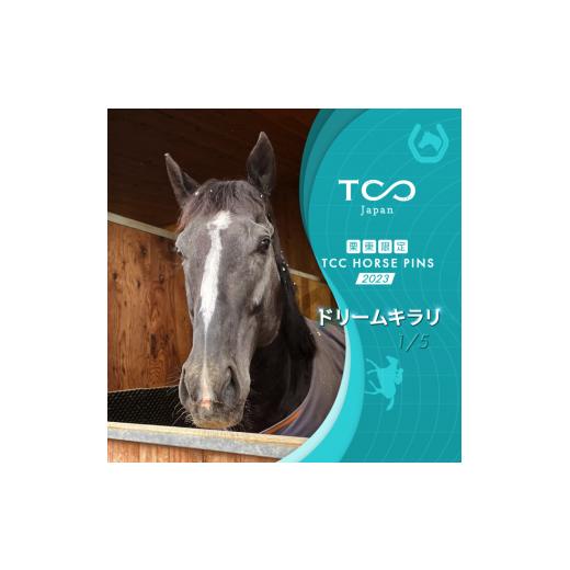 ふるさと納税 滋賀県 栗東市 栗東限定 TCC HORSE PINS サトノパシュート 