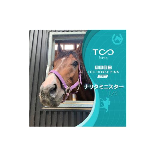ふるさと納税 滋賀県 栗東市 栗東限定 TCC HORSE PINS サトノパシュート 